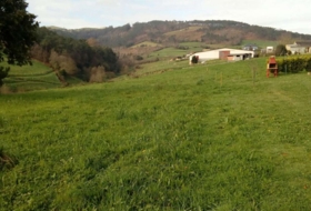 Taborcías 1050&nbsp;м²