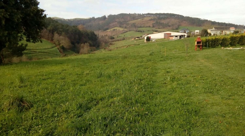 Asturias - Valtravieso - 1050m2