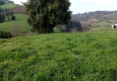 Land suitable for development for sale on Valtravieso. 33791, Taborcías, ref: TR107640 photo