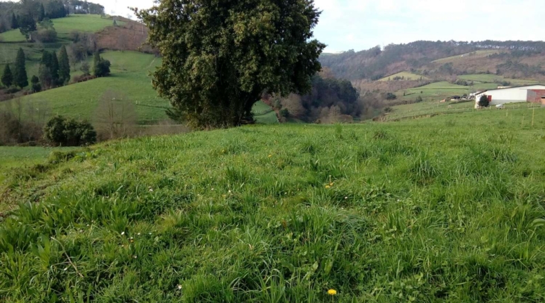 Asturias - Valtravieso - 1050m2