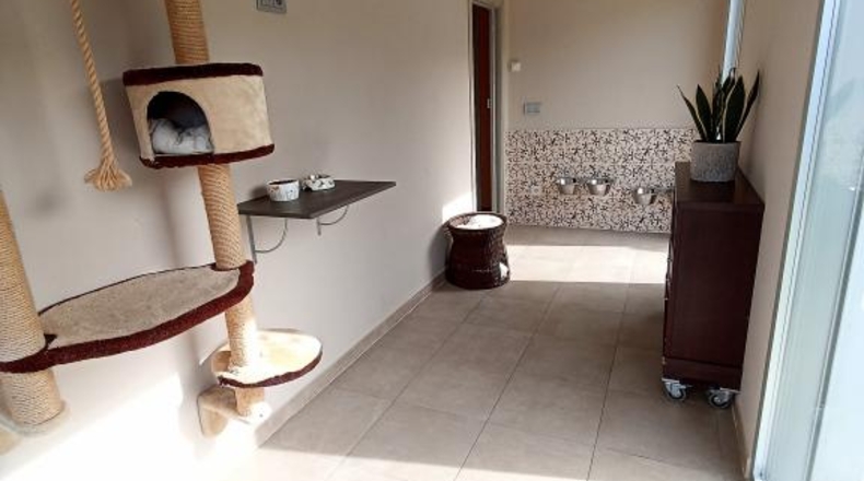 Lugo - Castro Ribeiras de Lea - 325m2
