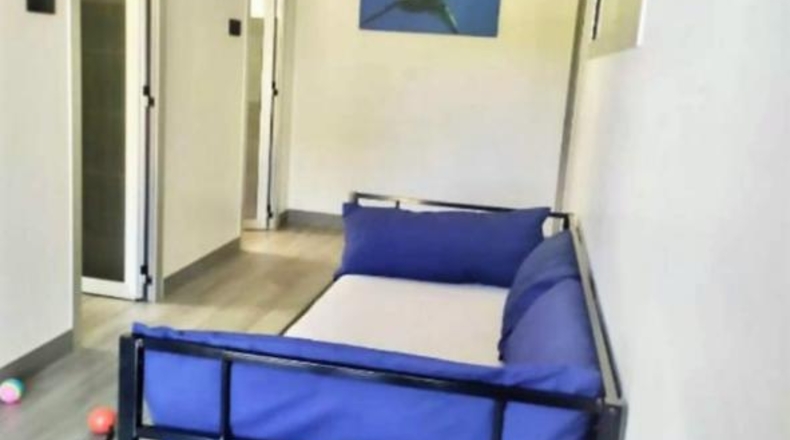 Lugo - Castro Ribeiras de Lea - 325m2