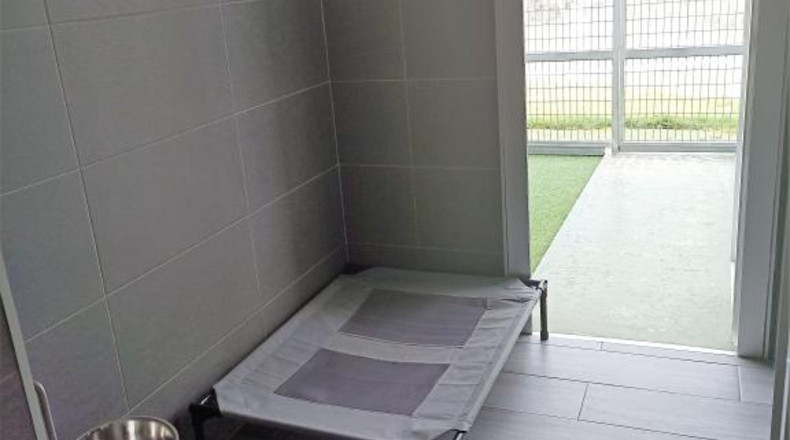 Lugo - Castro Ribeiras de Lea - 325m2