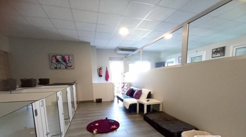 Lugo - Castro Ribeiras de Lea - 325m2
