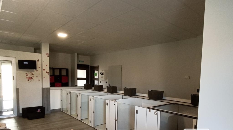 Lugo - Castro Ribeiras de Lea - 325m2