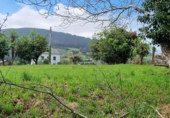 Terreny no urbanitzable en venda a la San Esteban. 33795, Coaña, ref.: TR91198 foto