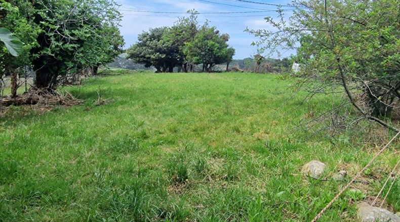 Asturias - La Esfreita - 1300m2