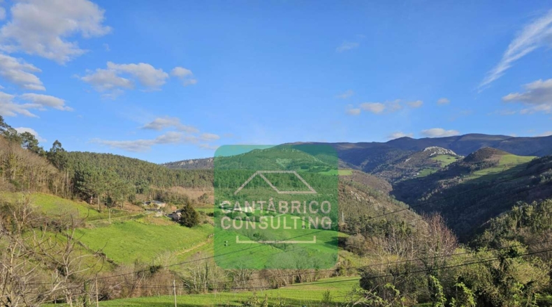Asturias - Doiras - 500m2
