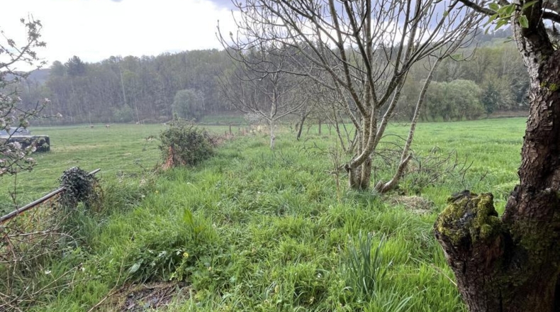 Astúries - Сан-Мартин-де-Оскос - 900m2