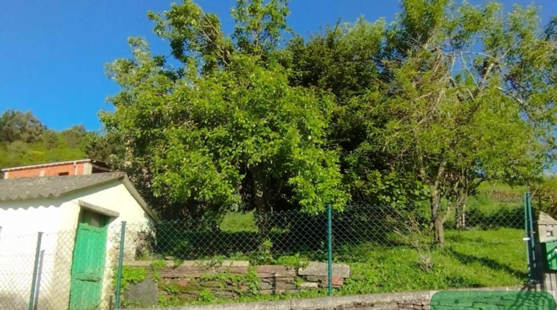 Asturias - Carrugueiro - 347m2
