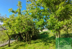 Boal 347&nbsp;m² 