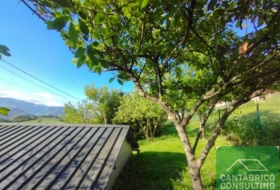 Boal 347&nbsp;m² 