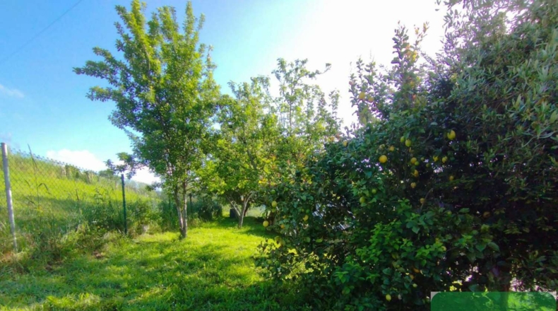 Asturias - Carrugueiro - 347m2
