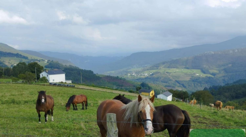Asturias - Carrugueiro - 347m2