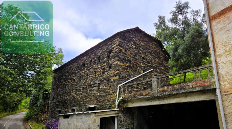 Asturias - Coaña - 10000m2