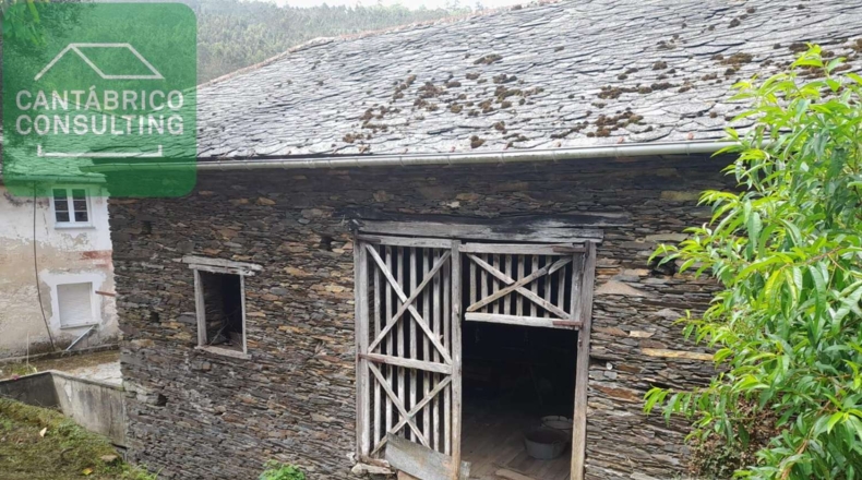 Asturias - Coaña - 10000m2