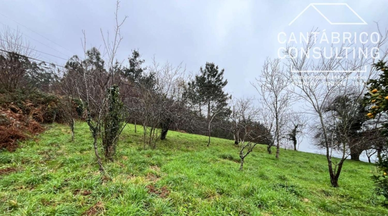 Asturias - Coaña - 200m2