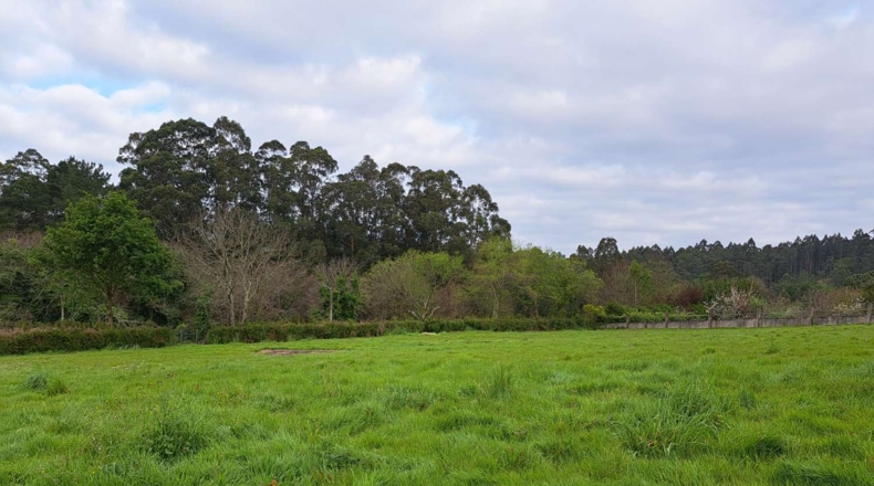 La Coruña - A Prata - 7700m2