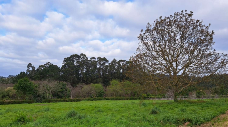La Coruña - A Prata - 7700m2