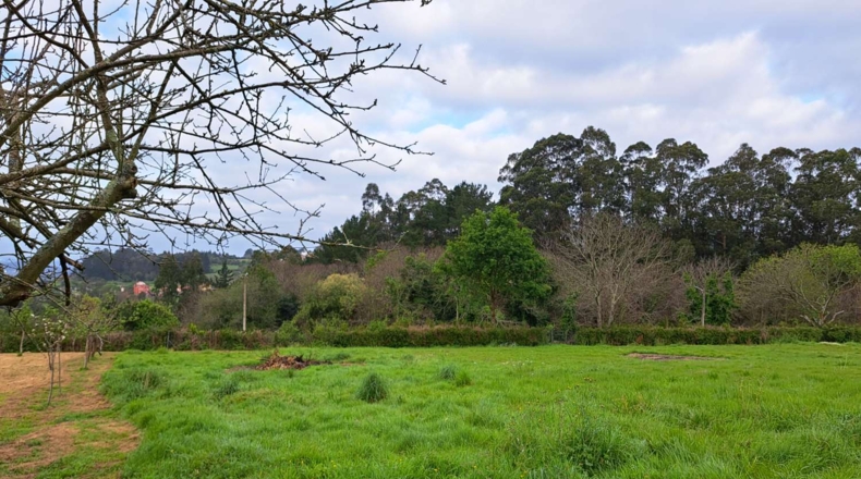La Coruña - A Prata - 7700m2