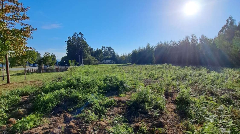 La Coruña - O Consistorio - 5000m2