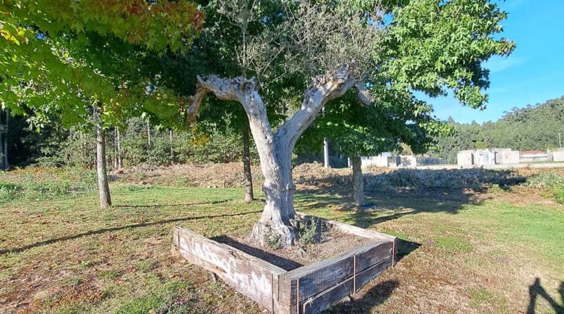 La Coruña - O Consistorio - 5000m2