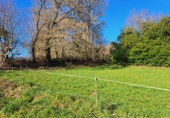 Дом с участком на продажу в городе Vilalba Фото