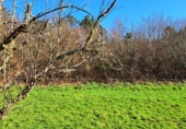 Дом с участком на продажу в городе Vilalba Фото