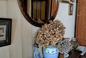 Foto 20