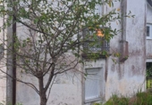Casa de poble en venda a la Cernadas, O Couce de Laxe, ref.: TR349487 foto