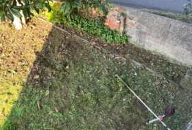 Foto 11
