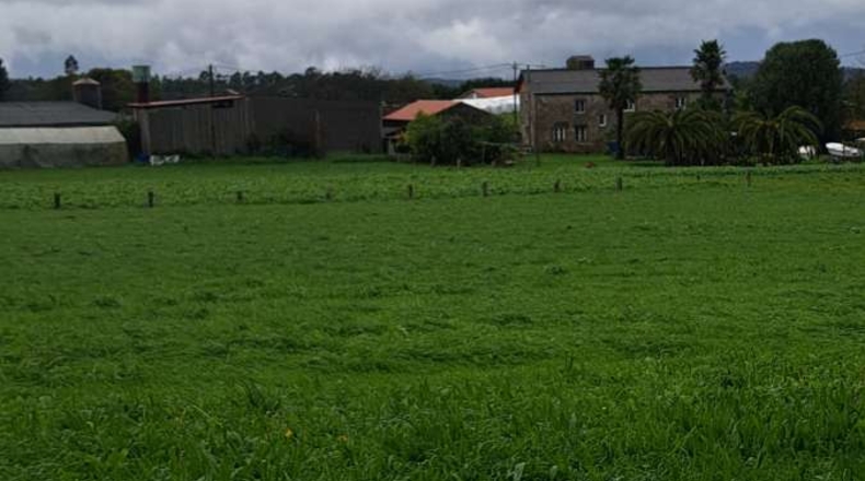 La Coruña - Puentedeume - 5400m2