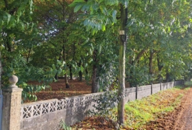 Foto 6