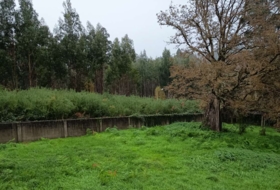 Mugardos 2256&nbsp;м²