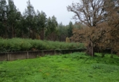 Дом с участком на продажу в городе Mugardos. Фото