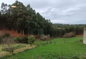 Casa de poble en venda a la Casanova. 15339, Ortigueira, ref.: TR368161 foto