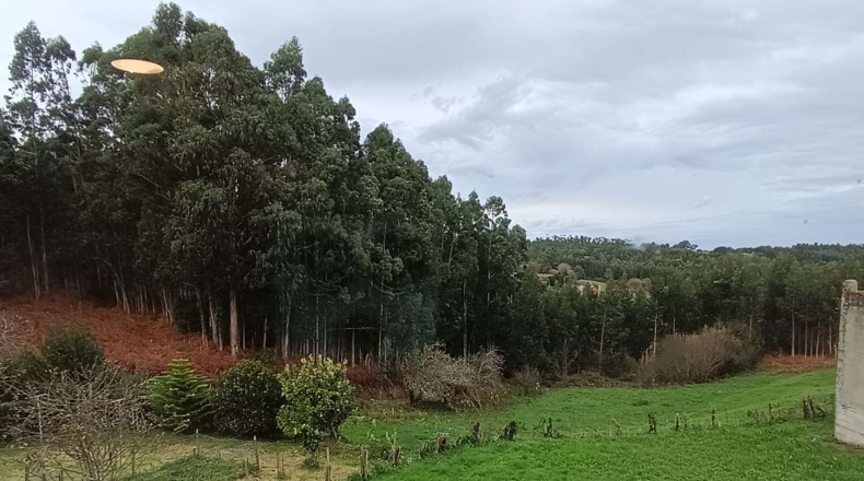 La Corunya - Ortigueira - 2900m2