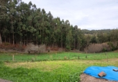 Casa de poble en venda a la Casanova. 15339, Ortigueira, ref.: TR368161 foto