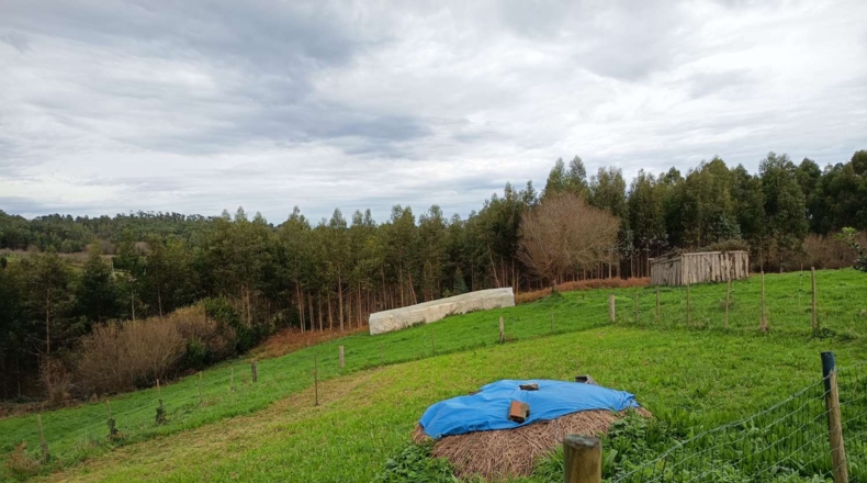La Corunya - Ortigueira - 2900m2