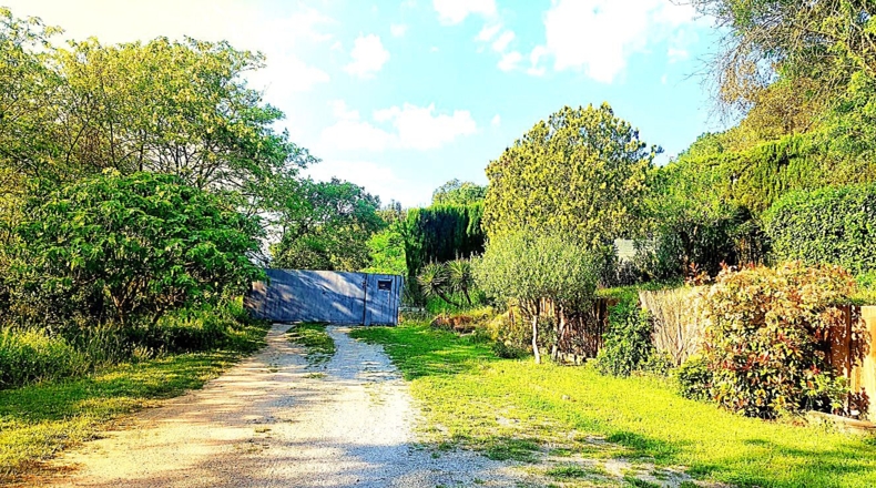 Barcelona - Llinars del Vallès - 8600m2