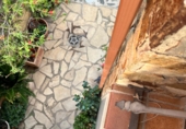 Village house for sale in Viabrea ref: TR345546 photo