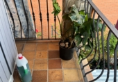Village house for sale in Viabrea ref: TR345546 photo