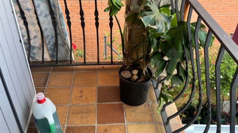 Gerona - Riells - 404m2