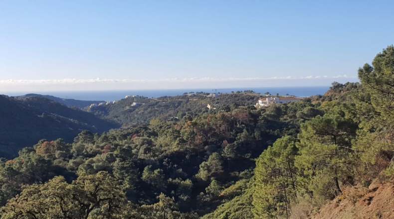 Málaga - Benahavís - 2956m2