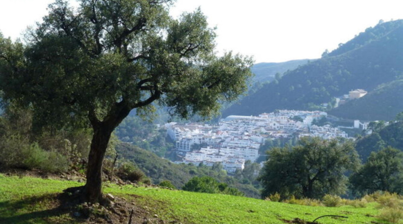 Malaga - Benahavís - 48000m2