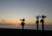 Terreny en venda a Estepona ref.: TR225136 foto
