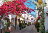 Terreny en venda a Estepona ref.: TR225136 foto