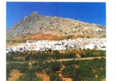 Terreny no urbanitzable en venda a la valle abdalajis. Valle de Abdalajís (Málaga), Valle de Abdalajís, ref.: TR67680 foto