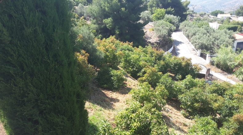 Málaga - Frigiliana - 5600m2