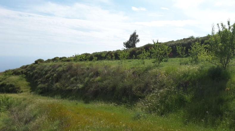 Málaga - Río de la Miel - 16133m2